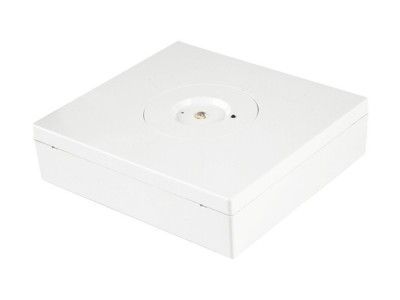 4.5w Emergency Downlight 170lmImage4